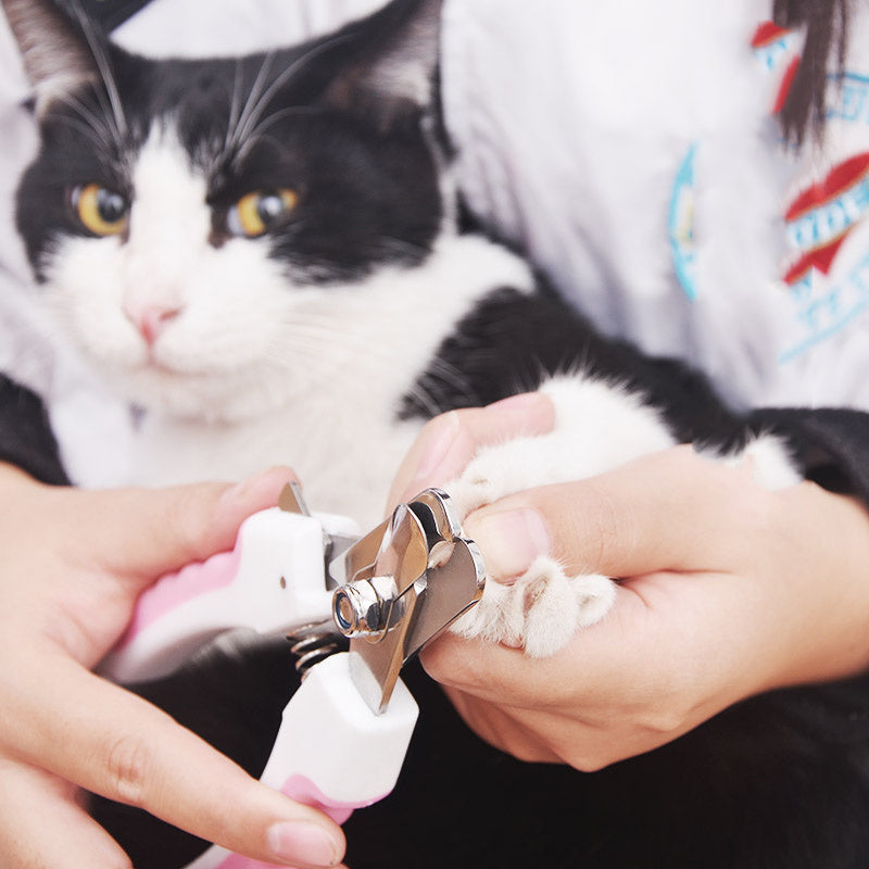 Pet Nail Clippers – Safe & Easy Grooming Tool for Cats and Dogs