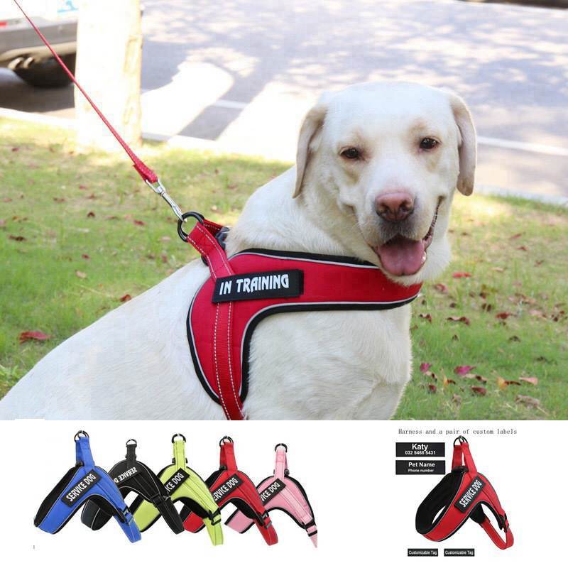 Custom Breathable Dog Harness Vest with Reflective Strip & Metal Buckle