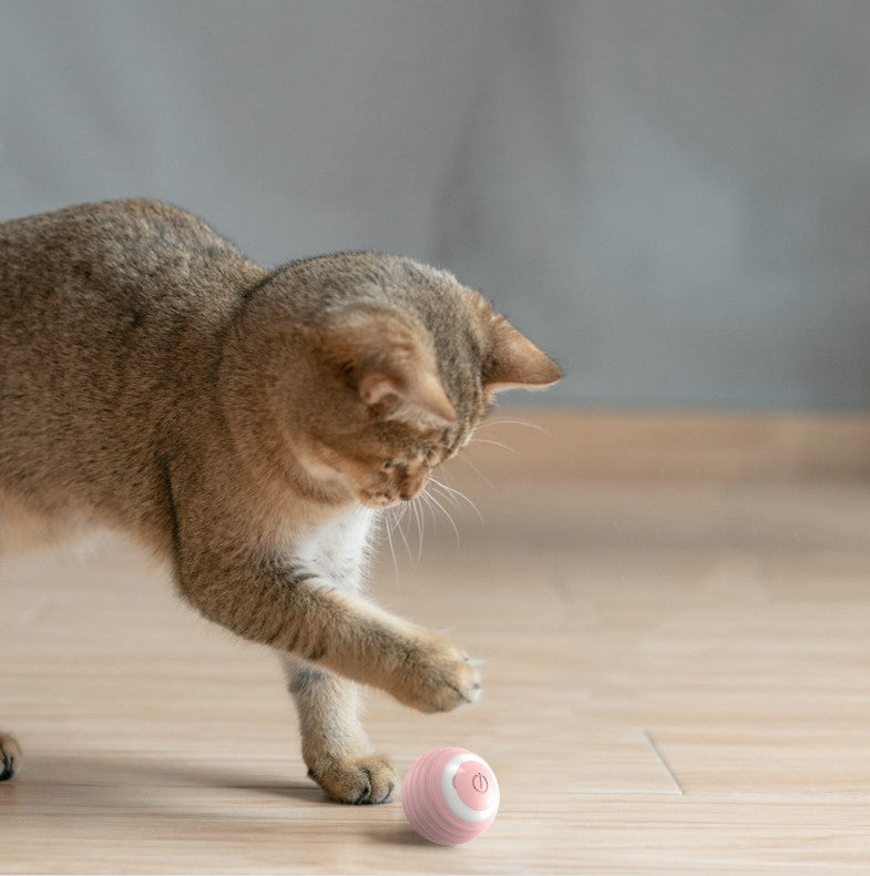 Automatic Moving Bouncing Ball – Smart Self-Rolling Cat Toy for Indoor Kittens