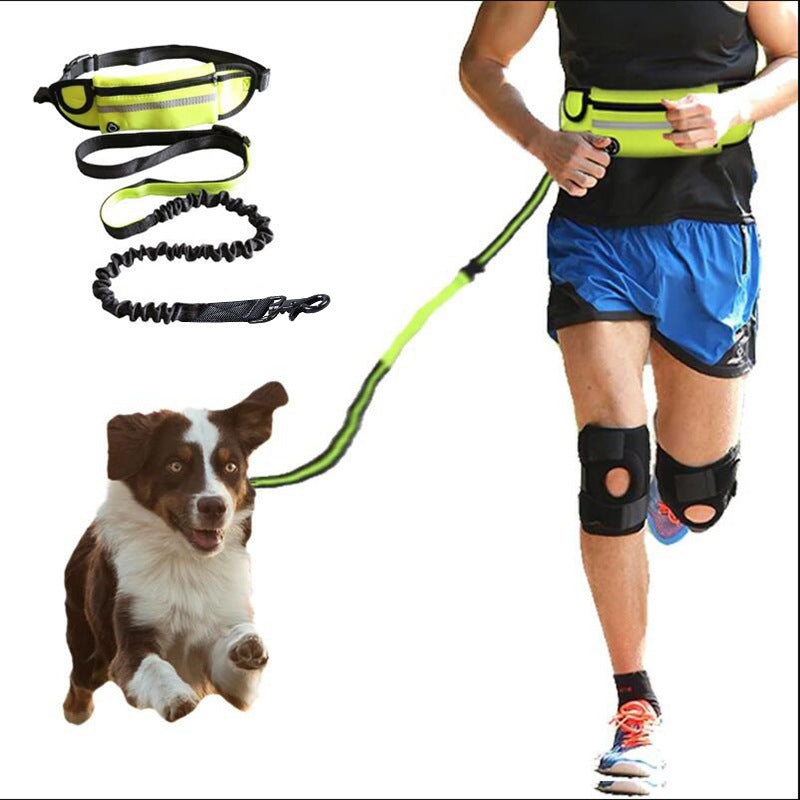 “Hands-free dog leash with shock-absorbing bungee, phone pocket, and water bottle holder for large dogs”