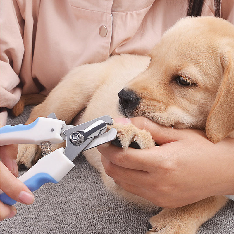 Pet Nail Clippers – Safe & Easy Grooming Tool for Cats and Dogs
