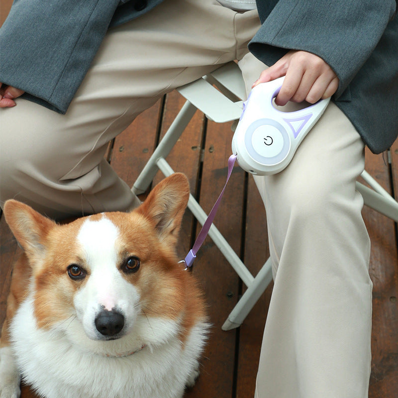Retractable Dog Leash with Collar – Automatic Pet Traction Rope with Spotlight for Small & Medium Dogs