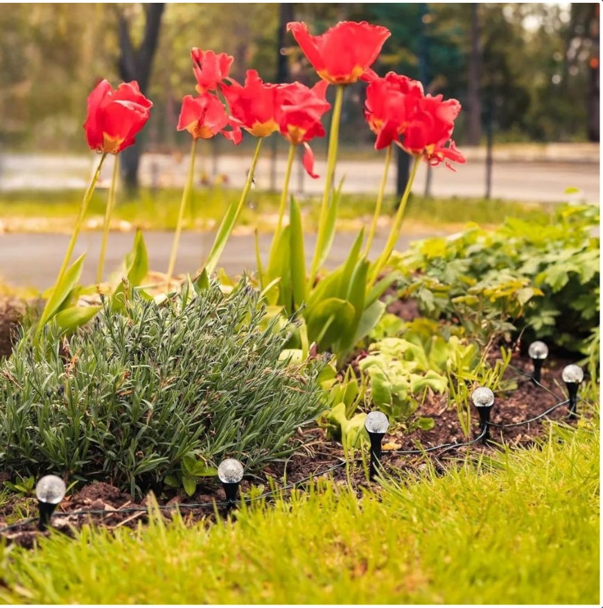 Solar LED Stake Lights – Multi-Coloured 20 Ball Outdoor Garden & Path Lighting