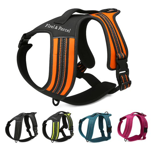 Truelove Reflective No-Pull Dog Harness – Adjustable Outdoor Sport Pet Vest with Handle (XS–XL, 5 Colors) | Pixel & Parcel Co.
