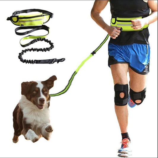 “Hands-free dog leash with shock-absorbing bungee, phone pocket, and water bottle holder for large dogs”