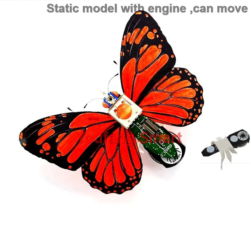 STEAM DIY Robotic Insects Kit – Non-Soldered STEM Toy for School Competition