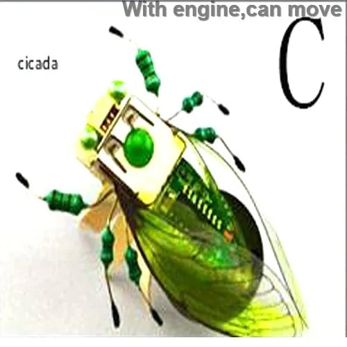 STEAM DIY Robotic Insects Kit – Non-Soldered STEM Toy for School Competition