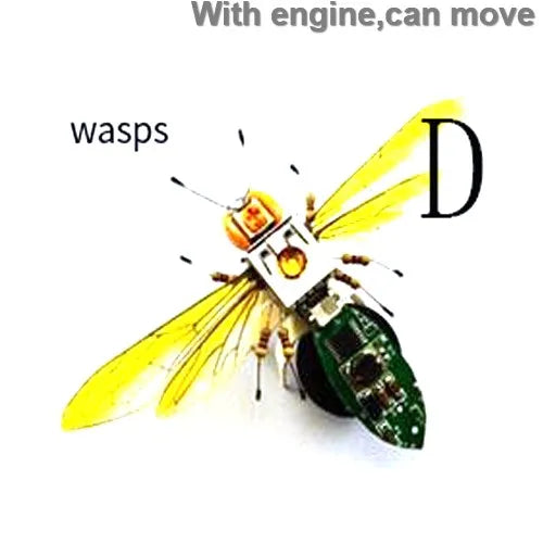 STEAM DIY Robotic Insects Kit – Non-Soldered STEM Toy for School Competition