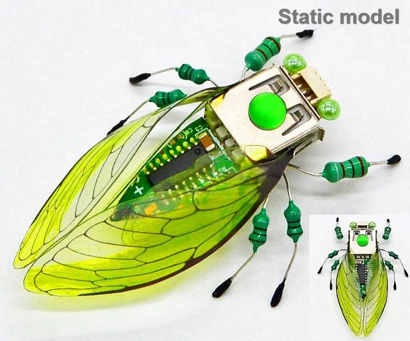 STEAM DIY Robotic Insects Kit – Non-Soldered STEM Toy for School Competition
