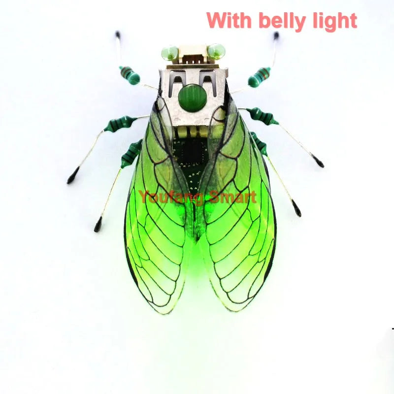 STEAM DIY Robotic Insects Kit – Non-Soldered STEM Toy for School Competition