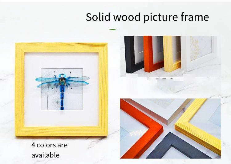 STEAM DIY Robotic Insects Kit – Non-Soldered STEM Toy for School Competition