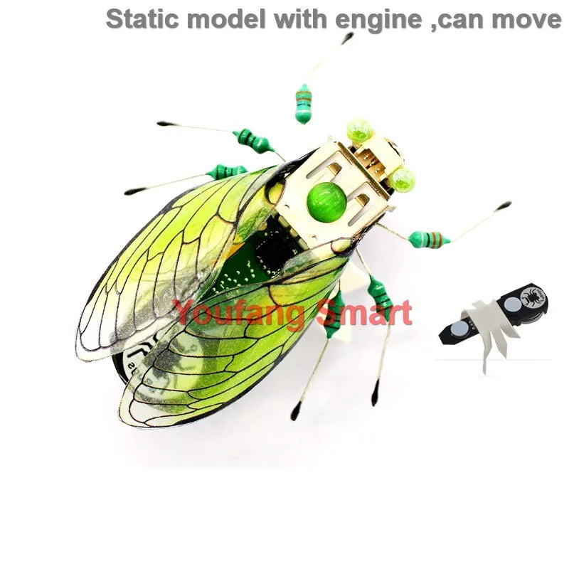 STEAM DIY Robotic Insects Kit – Non-Soldered STEM Toy for School Competition