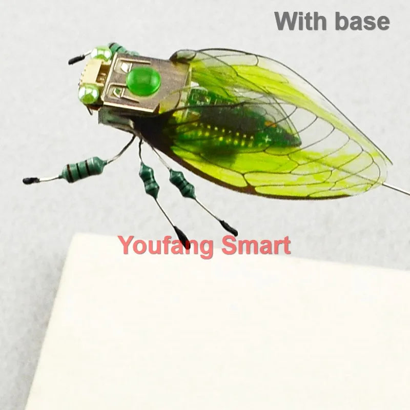 STEAM DIY Robotic Insects Kit – Non-Soldered STEM Toy for School Competition