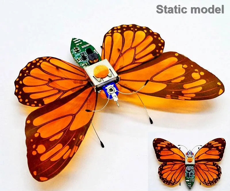 STEAM DIY Robotic Insects Kit – Non-Soldered STEM Toy for School Competition
