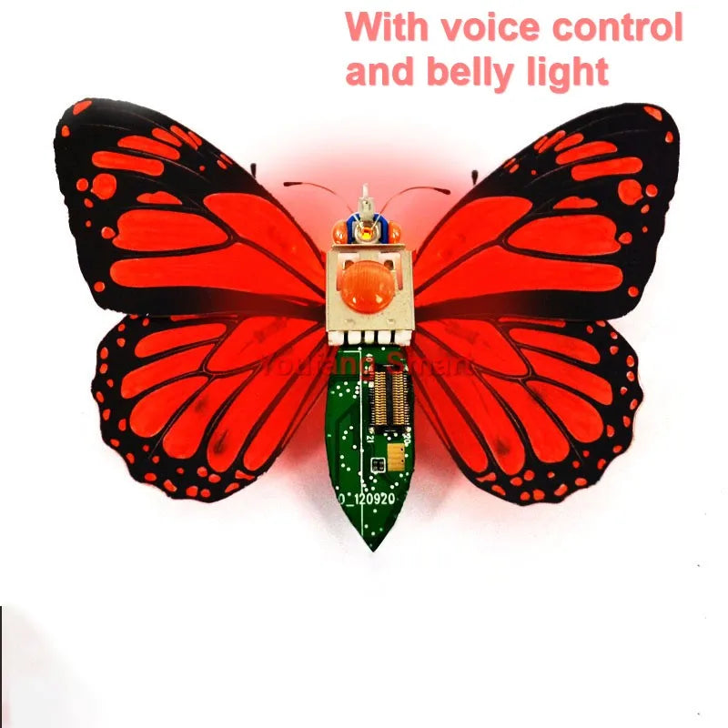 STEAM DIY Robotic Insects Kit – Non-Soldered STEM Toy for School Competition