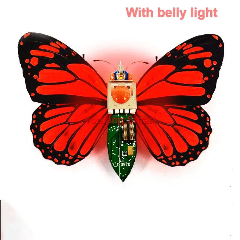 STEAM DIY Robotic Insects Kit – Non-Soldered STEM Toy for School Competition