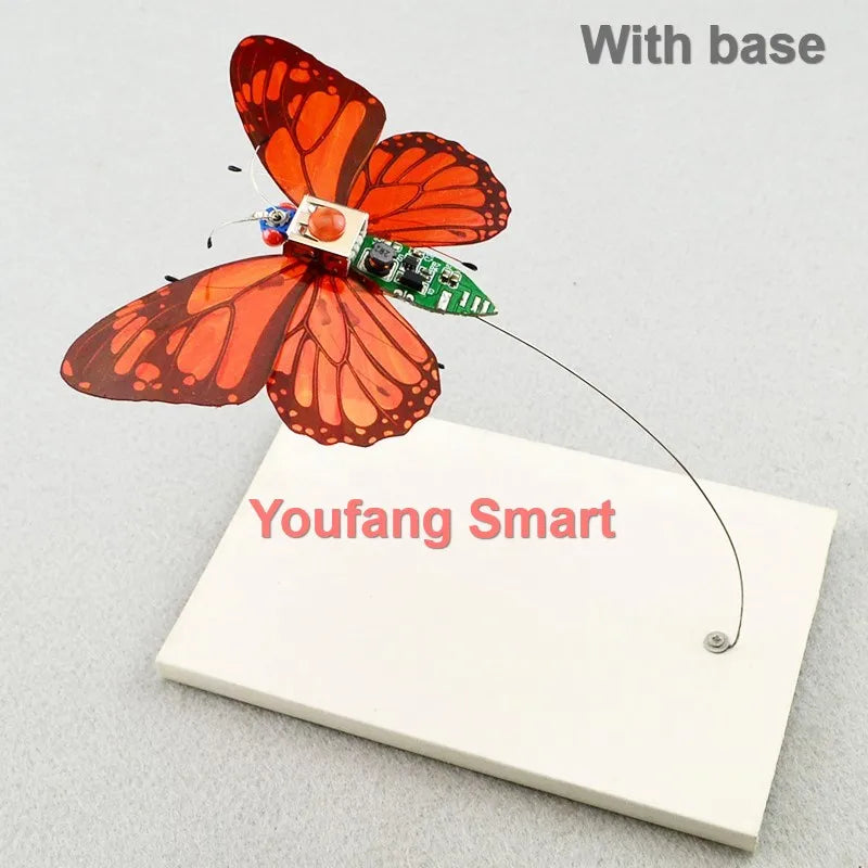 STEAM DIY Robotic Insects Kit – Non-Soldered STEM Toy for School Competition