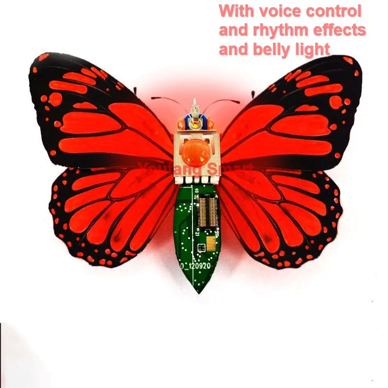 STEAM DIY Robotic Insects Kit – Non-Soldered STEM Toy for School Competition