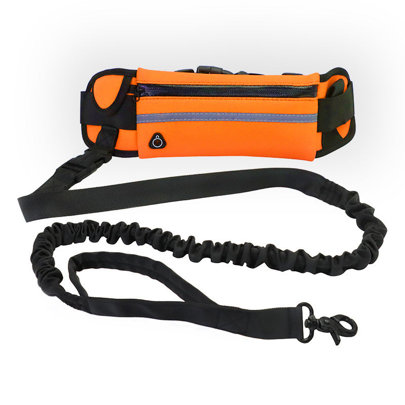 Hands-Free Dog Leash & Training Belt – Shock Absorbing Bungee Leash with Phone Pocket & Bottle Holder